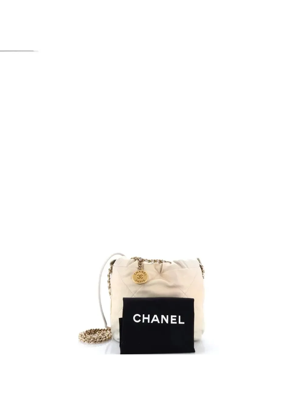 Chanel 22 Chain Hobo Quilted Shaded #315237C48B